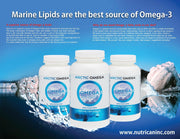 ArcticBounty Omega-3: Complete Seal Oil Power (500mg x 300 x 1 Btle)-PHILATOM