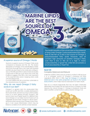 ArcticBounty Omega-3: Seal Oil Softgels for Balanced Omega-3 Structure(500mg x 300 x 6 Btls.)-PHILATOM